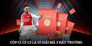 Cúp C1 C2 C3 Là Gì? Giải Mã 3 Đấu Trường Đỉnh Cao Châu Âu 5 Cúp C1 C2 C3 Là Gì? Giải Mã 3 Đấu Trường Đỉnh Cao Châu Âu